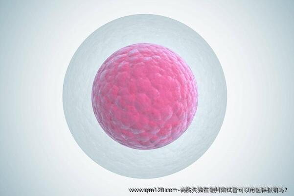 高龄失独在潮州做试管可以用医保报销吗？
