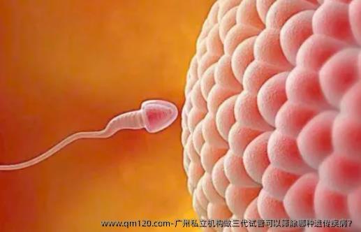 广州机构做三代试管可以筛除哪种遗传疾病？