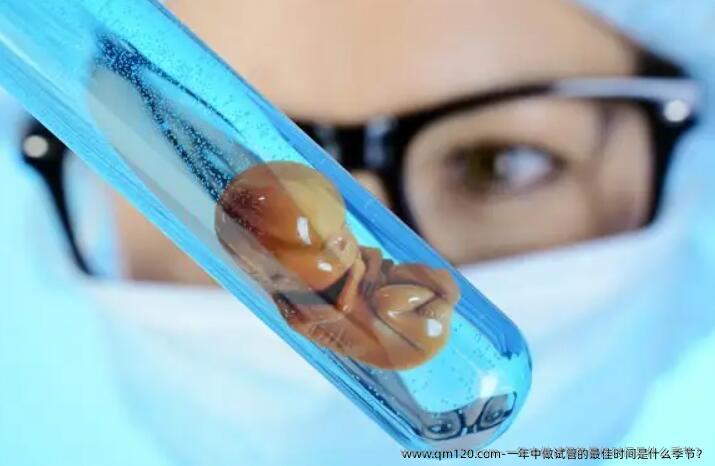 一年中做试管的较好时间是什么季节？