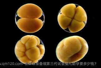 在蚌埠准备做第三代试管婴儿助孕要多少钱？