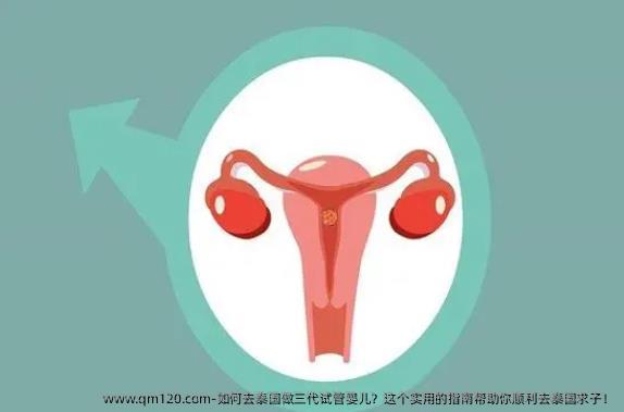 如何去泰国做三代试管婴儿？这个实用的指南帮助你顺利去泰国求子！