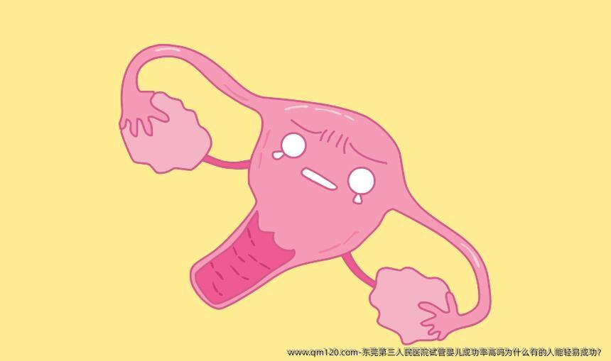 东莞第三人民医院试管婴儿成功率高吗为什么有的人能轻易成功？