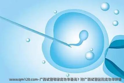 广西试管哪家**？附广西试管医院成功率详情