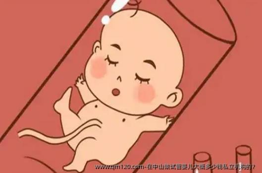 在中山做试管婴儿大概多少钱机构的？