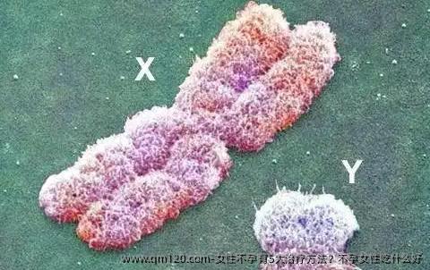 女性不孕有5大治疗方法？不孕女性吃什么好