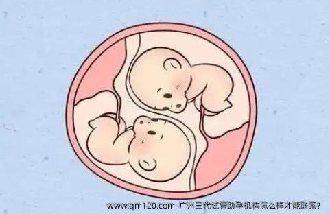 广州三代试管助孕机构怎么样才能联系？
