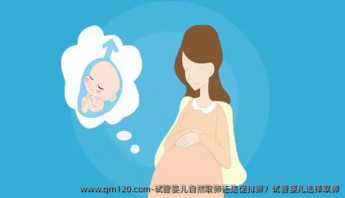 试管婴儿自然卵泡取出还是促排卵？试管婴儿选择卵泡取出