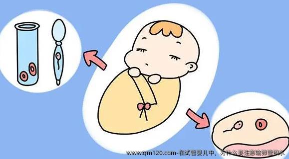 在试管婴儿中，为什么要注意输卵管积水