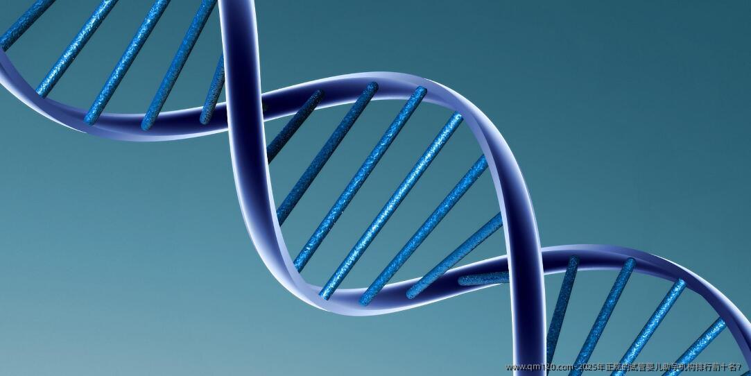 2025年正规的试管婴儿助孕机构排行前十名？