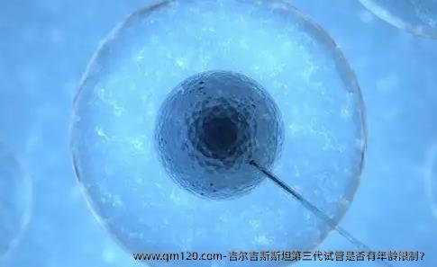 吉尔吉斯斯坦第三代试管是否有年龄限制？