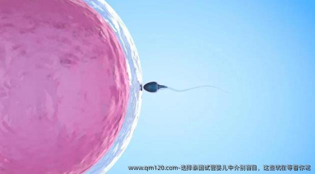 选择泰国试管婴儿 别盲目，这些坑在等着你呢