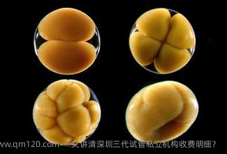 一文讲清深圳三代试管机构收费明细？