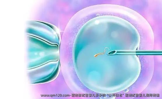 昆明做试管婴儿多少钱“公开排名”昆明试管婴儿费用明细