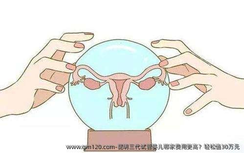 昆明三代试管婴儿哪家费用更高？轻松值30万元