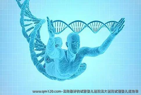 云南较好的<a href=