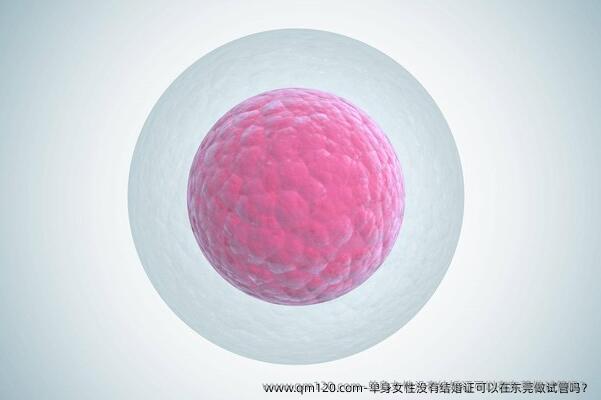 单身女性没有结婚证可以在东莞做试管吗？