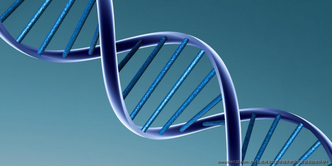 为什么说两次试管移植失败后同房容易自然怀孕？