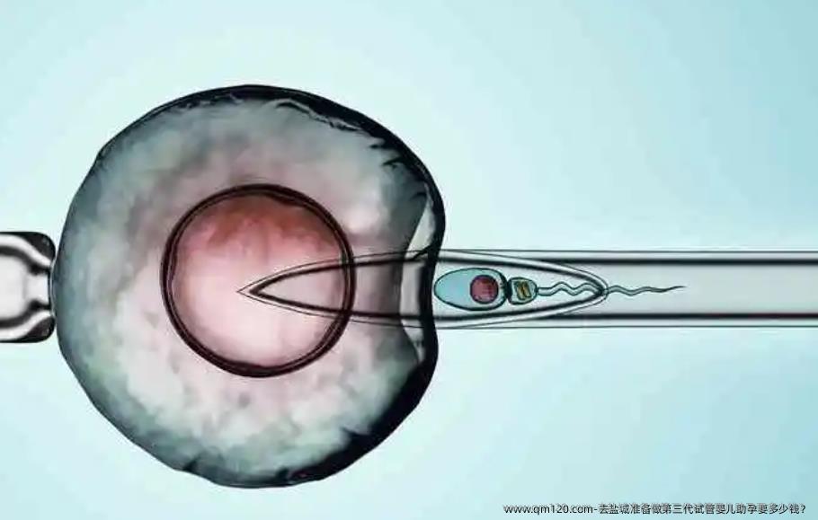 去盐城准备做第三代试管婴儿助孕要多少钱？