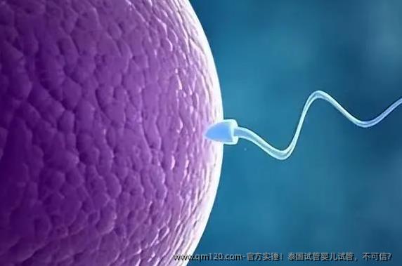 官方实锤！泰国试管婴儿试管，不可信？
