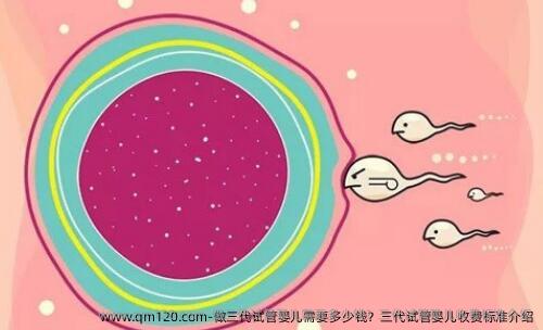 做三代试管婴儿需要多少钱？三代试管婴儿收费标准介绍