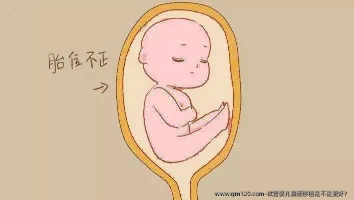 试管婴儿囊胚移植是不是更好？