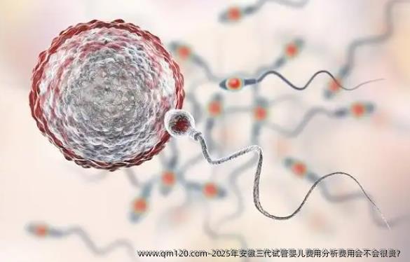 2025年安徽三代试管婴儿费用分析费用会不会很贵？