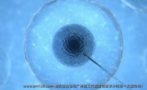 唐氏综合征在广州做三代试管需要多少钱能初次成功吗？