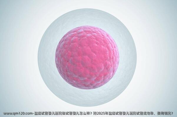 盐城试管婴儿医院做试管婴儿怎么样？附2025年盐城试管婴儿医院试管成功率、费用情况？