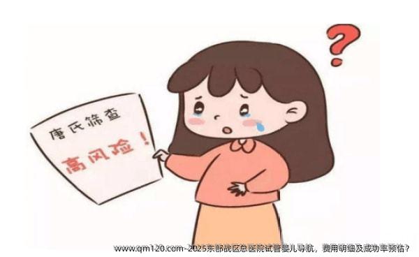 2025东部战区总医院试管婴儿导航，费用明细及成功率预估？