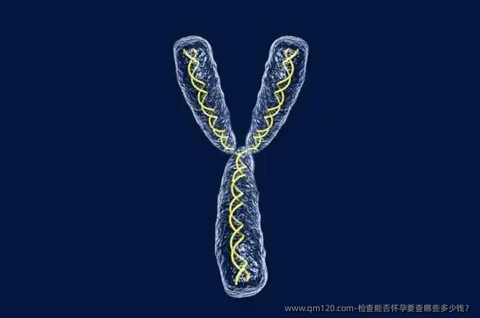检查能否怀孕要查哪些多少钱？