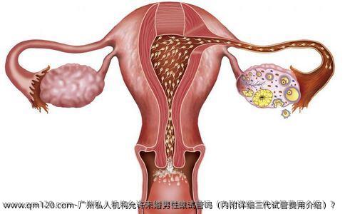 广州**允许未婚男性做试管吗（内附详细三代试管费用介绍）？
