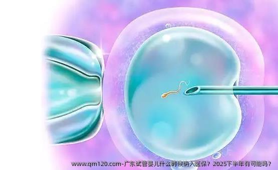 广东试管婴儿什么时候纳入医保？2025下半年有可能吗？