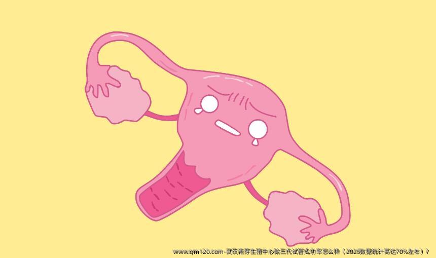 武汉诺芽生殖中心做三代试管成功率怎么样（2025数据统计高达70%左右）？