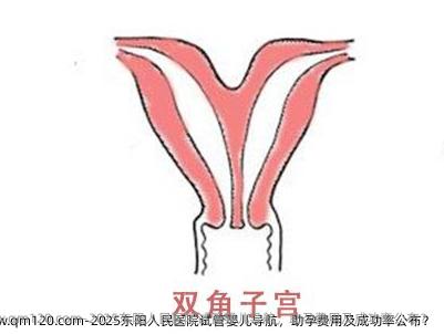 2025东阳人民医院试管婴儿导航，助孕费用及成功率公布？