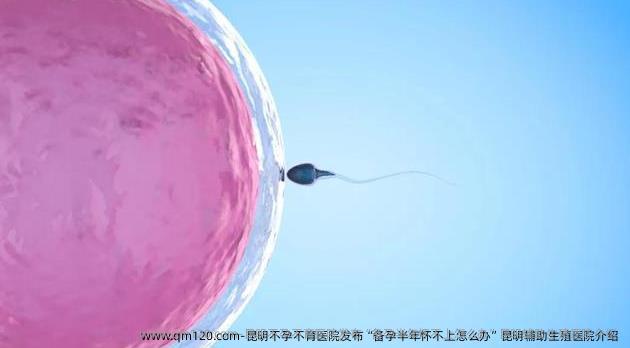昆明不孕不育医院发布“备孕半年怀不上怎么办”昆明辅助生殖医院介绍 
