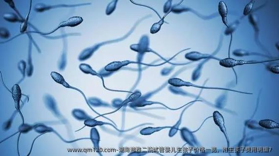 湖南湘雅二院试管婴儿生孩子价格一览，附生孩子费用明细？