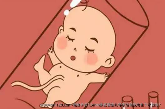 疤痕子宫1.5mm做试管婴儿怀孕后能成功生下小孩吗？