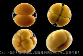 昆明11家试管婴儿医院哪家好附2025年网上医院排名？