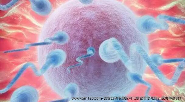 吉安妇幼保健院可以做试管婴儿吗？成功率高吗？