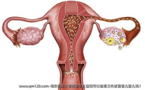 南京东南大学附属中大医院可以做第三代试管婴儿婴儿吗？