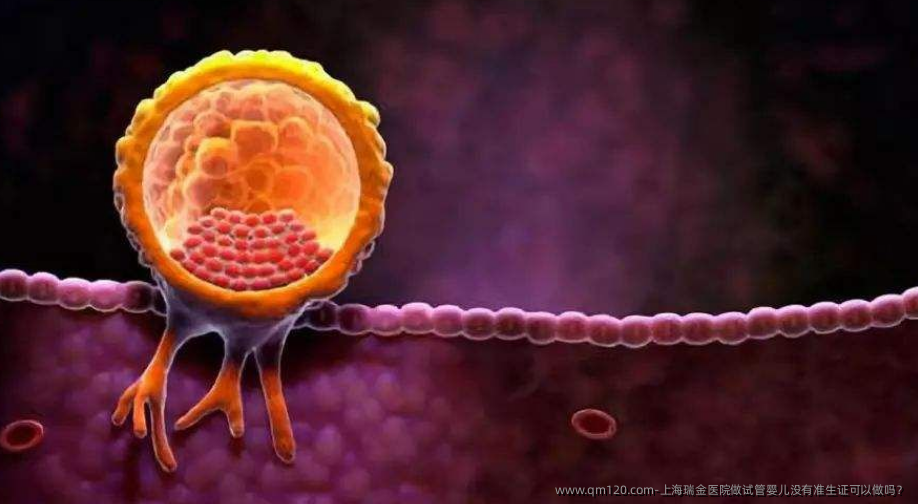 上海瑞金医院做试管婴儿没有准生证可以做吗？
