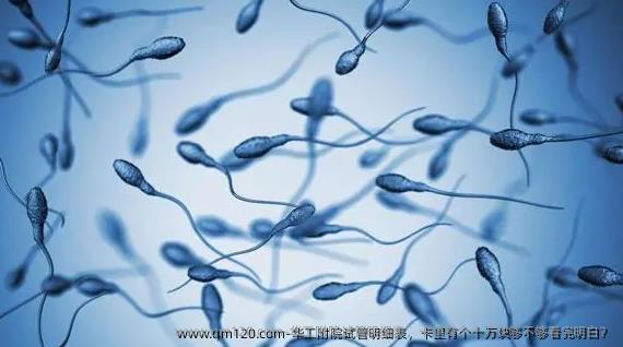 华工附院试管明细表，卡里有个十万块够不够看完明白？