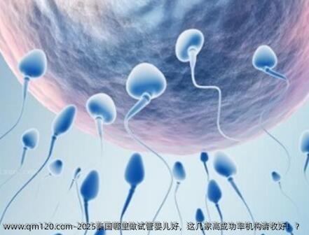 2025泰国哪里做试管婴儿好，这几家高成功率机构请收好！？