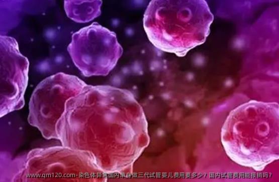 染色体异常国内单身做三代试管婴儿费用要多少？国内试管费用能报销吗？