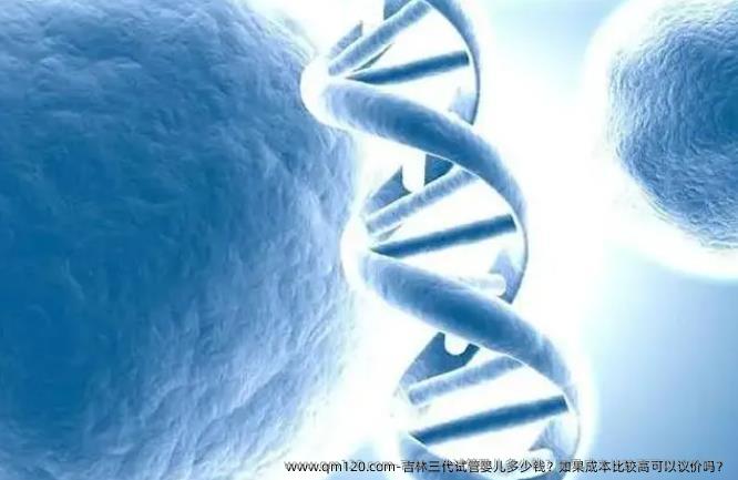 吉林三代试管婴儿多少钱？如果成本比较高可以议价吗？
