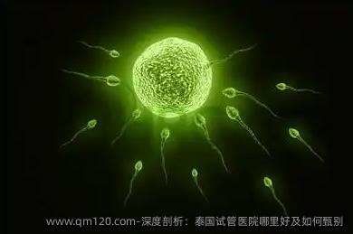 深度剖析：泰国试管医院哪里好及如何甄别