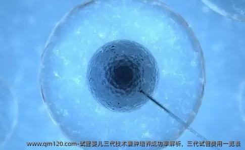 试管婴儿三代技术囊肿培养成功率解析，<a href=