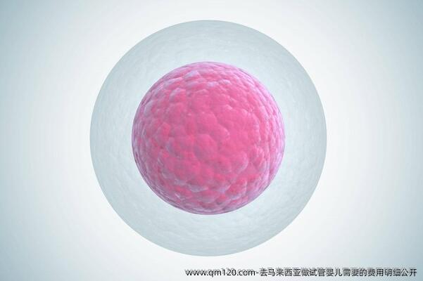 去马来西亚做试管婴儿需要的费用明细公开