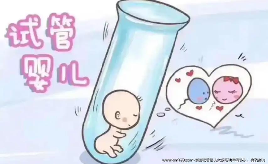 泰国试管婴儿大致成功率有多少，真的高吗