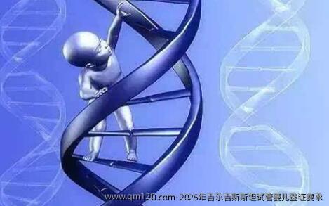 2025年吉尔吉斯斯坦试管婴儿签证要求